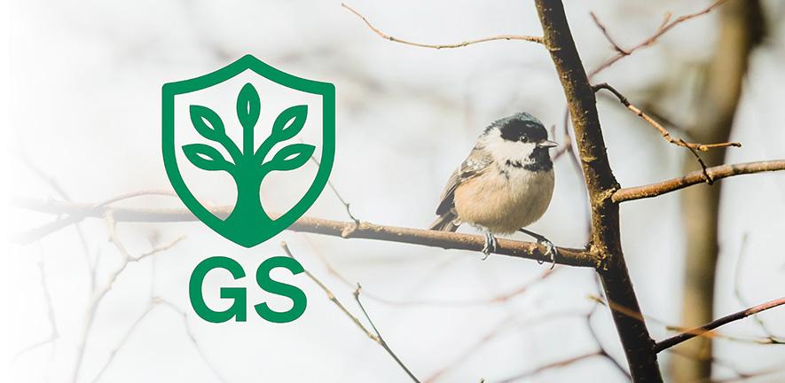 A small bird with a light brown body and a black‑and‑white head pattern perches on a thin branch, with bare branches behind it. A green shield‑shaped emblem with a stylised tree and the letters “GS” appears to the left of the bird.