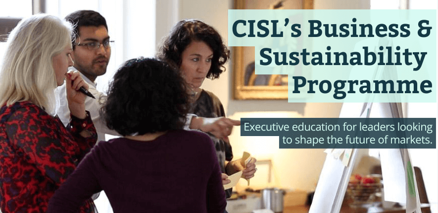 Business & Sustainability Programme Business & Sustainability Programme