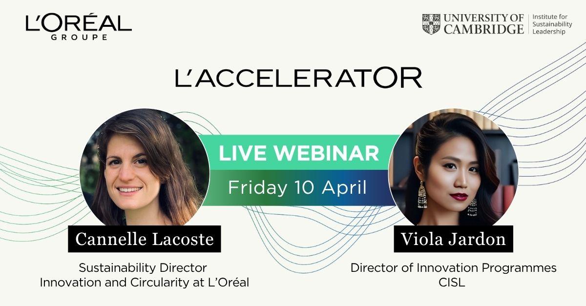 L’AcceleratOR: Your Questions Answered