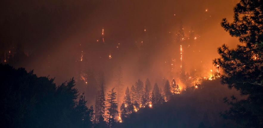 Forest fire Forest fire