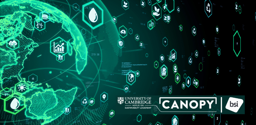 Tech for Sustainability Graphic for Canopy and BSI trust in sustainability programme A graphic showing a digital platform of a globe with multiple icons and shapes used in tech tracking and sustainability metrics.
