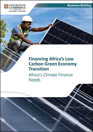 Download Financing Africa’s Low Carbon Transition