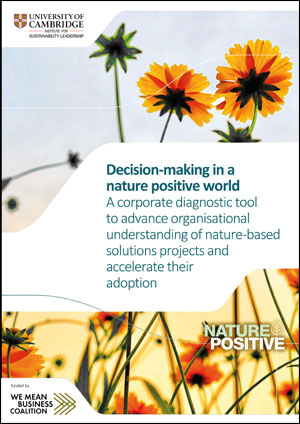 Decision-making in a nature positive world
