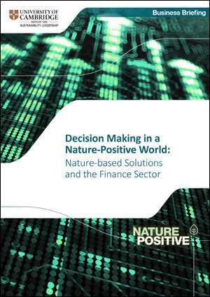 Nature-based Solutions and the Finance Sector