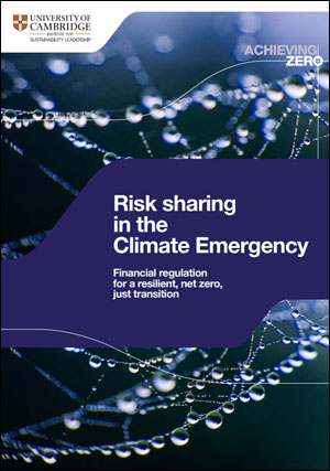 Risk Sharing in the Climate Emergency