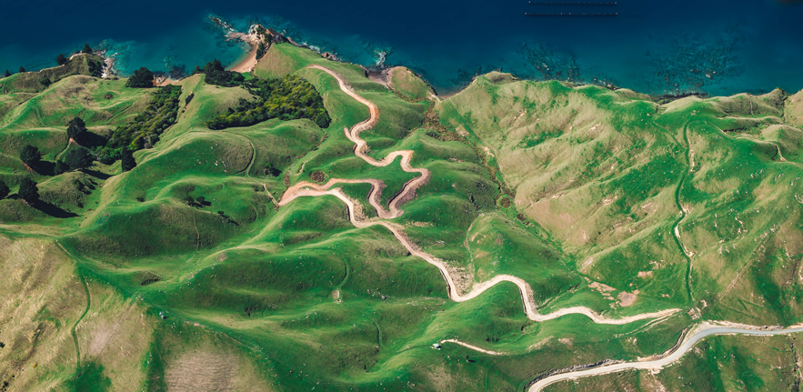 New-Zealand-hills-and-sea.png