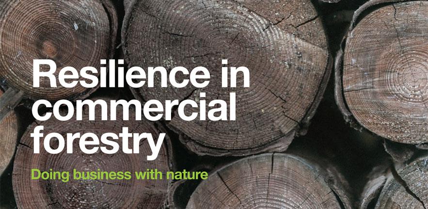 CISL report presents the case for natural resources to be better considered in commercial forestry decision-making processes.