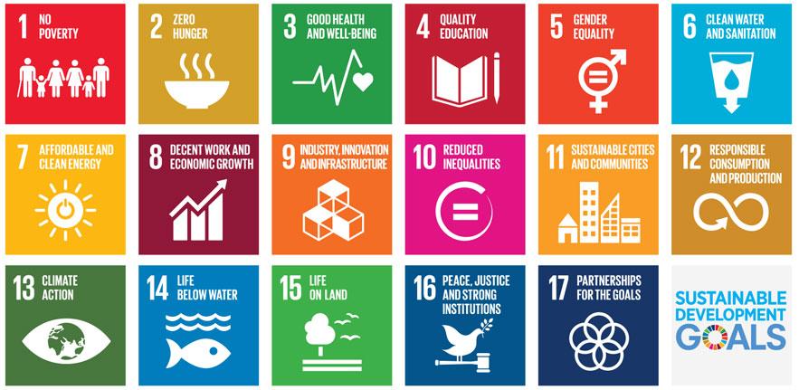 Business models and Sustainable Development Goals