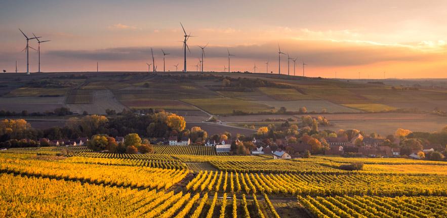 Wind turbines in agricultural landscape