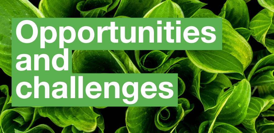 Opportunities and Challenges 